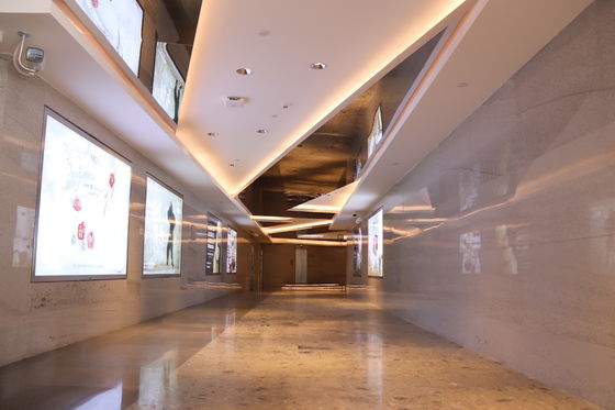 Metalen plafondsystemen voor architectuur, buitenplafondbekleding voor gevels