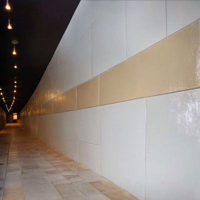 Artistic Expressive Vitreous Enamel Panel For Creative Architectures