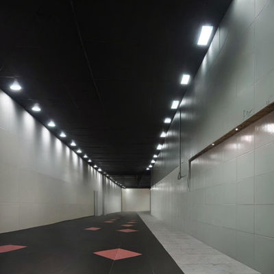 Distinctive Unique Vitreous Enamel Panel for Signature Projects