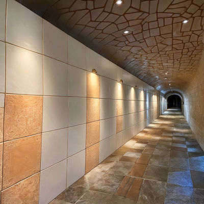 Expanded Large-Scale Vitreous Enamel Panel For Big Projects