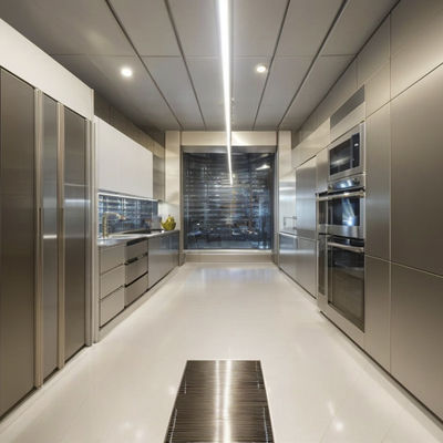 Sturdy Anti-static Stainless Steel Cladding for Computer Rooms
